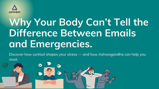Work-Life Balance, Stress & Cortisol: Can Ashwagandha Help Us Cope?