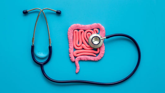 The Gut-Spirulina Connection: How This Algae Can Transform Your Gut Health