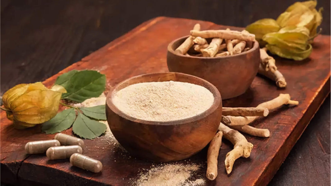 Ancient Healer: Exploring History And Origins Of Ashwagandha