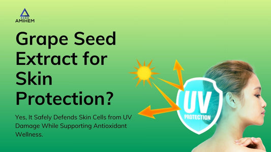 Grape Seed Extract and Skin Protection: What Science Says About Its Safety, Antioxidant Power and Daily Wellness Benefits