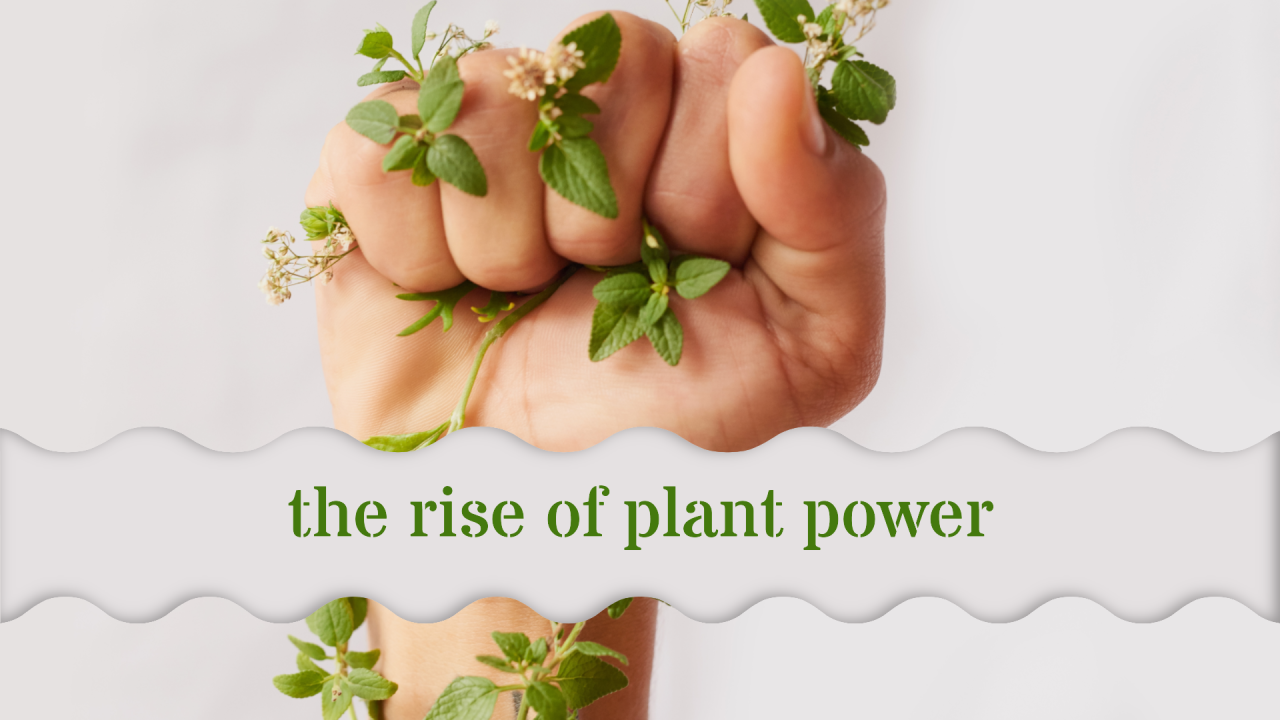 The Rise of Plant-Based Supplements: A Natural Shift for Modern Lifestyles in India