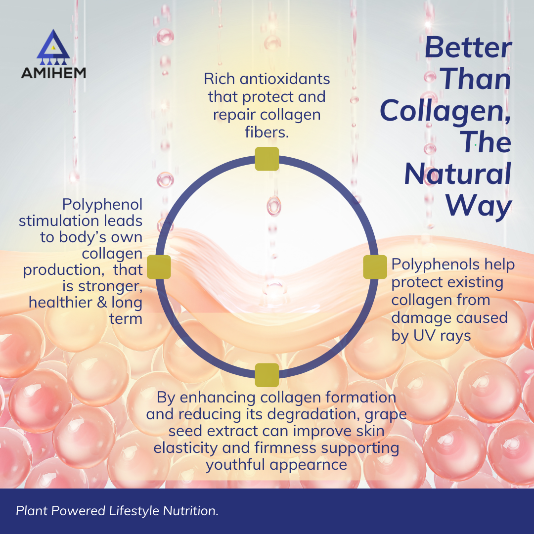 Grape Seed Extract